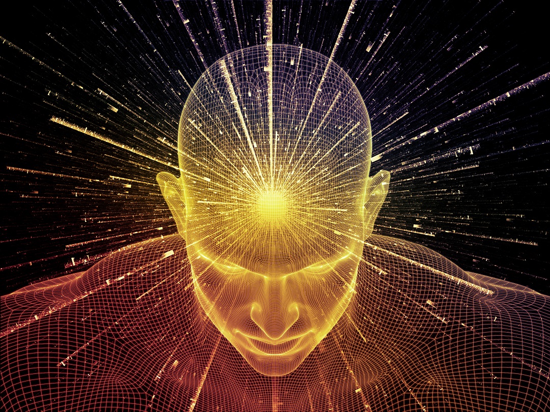 MAC’s Experience with Hallucinogenic Compounds