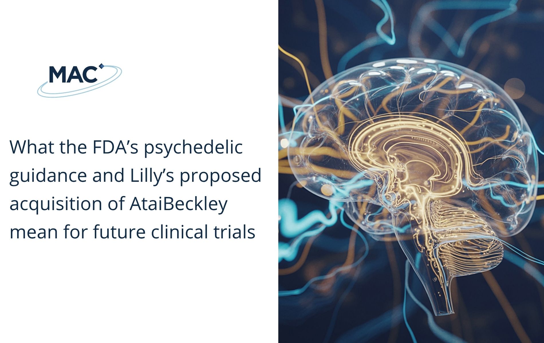 What the FDA’s psychedelic guidance and Lilly’s proposed acquisition of AtaiBeckley mean for future clinical trial
